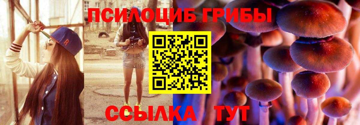Новоуральск  Псилоцибиновые грибы прущие грибы  цена наркотик  Вход с VPN 