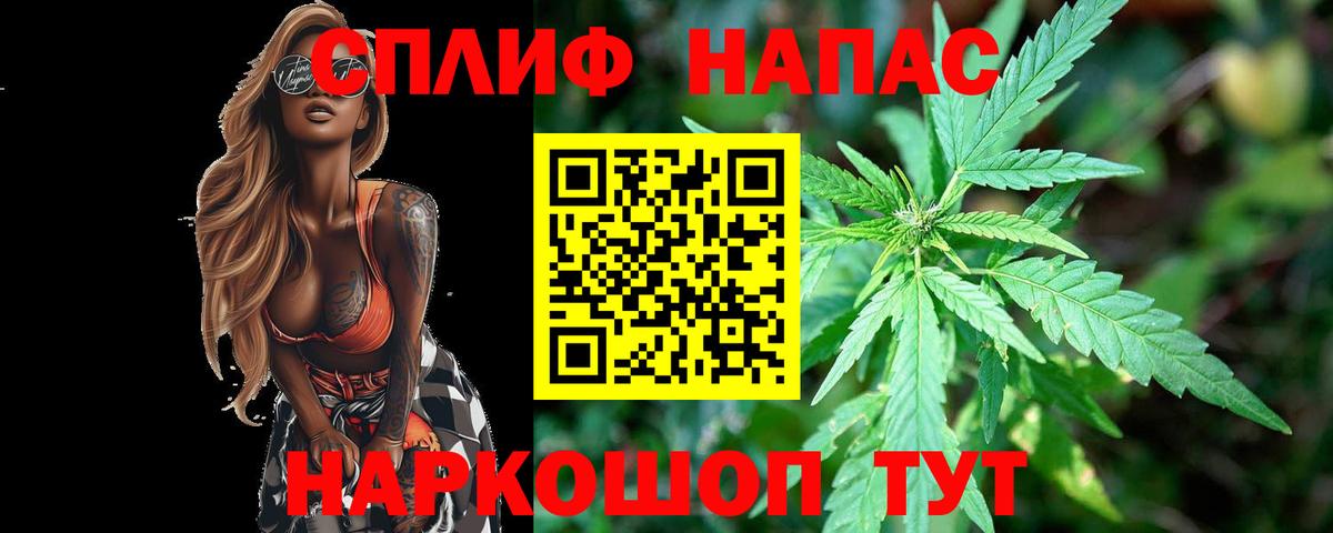 Конопля OG Kush Новоуральск